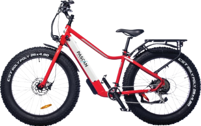 velo-fatbike-pascan-removebg-preview